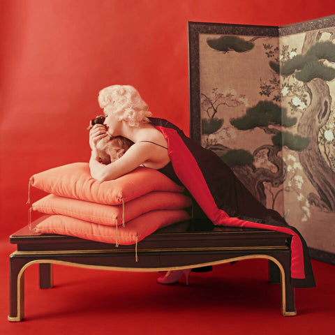 Milton Greene "03" from "Pekingese Dogs Sittings"