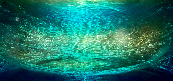 Andreas Nottebohm "KN-2002"