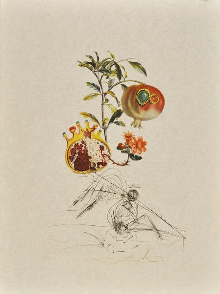 Salvador Dali "Pomegranate (Grenade et l'Ange)" from "les Fruits" series