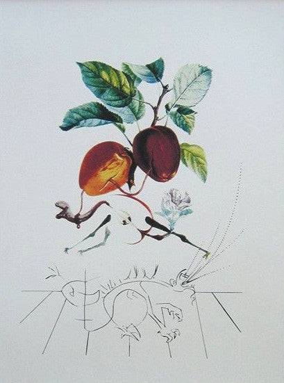 Salvador Dali "Pomme Dragon (Eve's Apple)" from "Les Fruits"