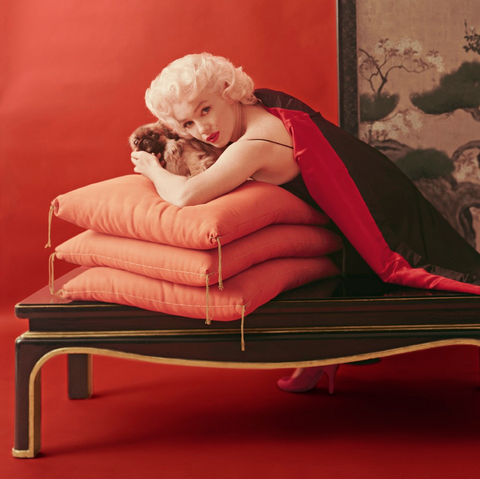 Milton Greene "02" from "Pekingese Dogs Sittings"